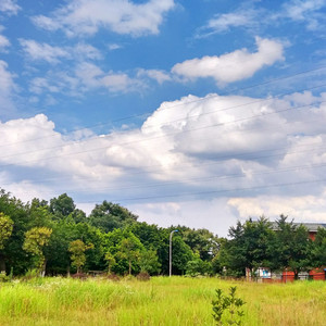 邱淑贞被躁120分钟视频
